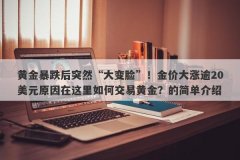 黄金暴跌后突然“大变脸”！金价大涨逾20美元原因在这里如何交易黄金？的简单介绍