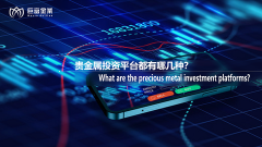 贵金属投资平台都有哪几种？